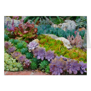 Colourful succulent garden greeting card