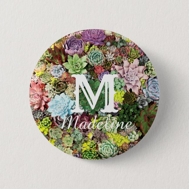 Colourful Succulents 2 Inch Round Button (Front)