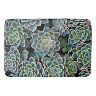 colourful succulents bath mat