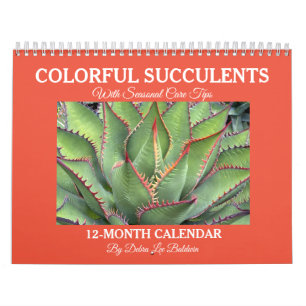 Colourful Succulents Calendar with Care Tips