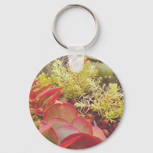 Colourful Succulents Keychain
