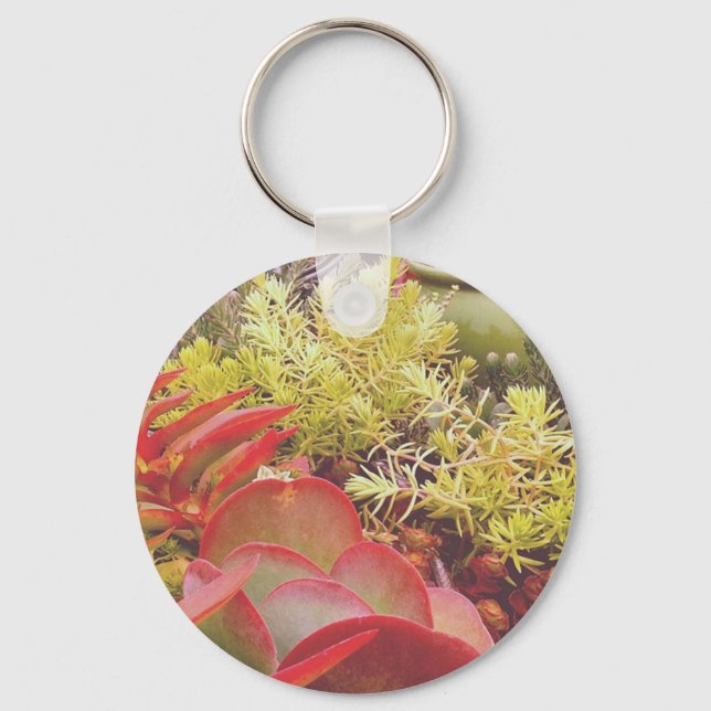 Colourful Succulents Keychain (Front)