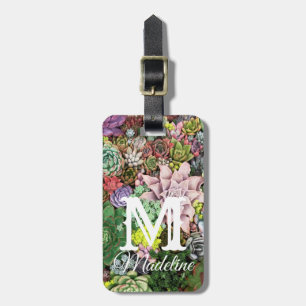 Colourful Succulents Luggage Tag