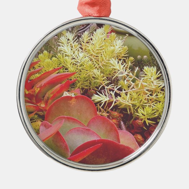 Colourful Succulents Metal Ornament (Front)