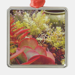 Colourful Succulents Metal Ornament