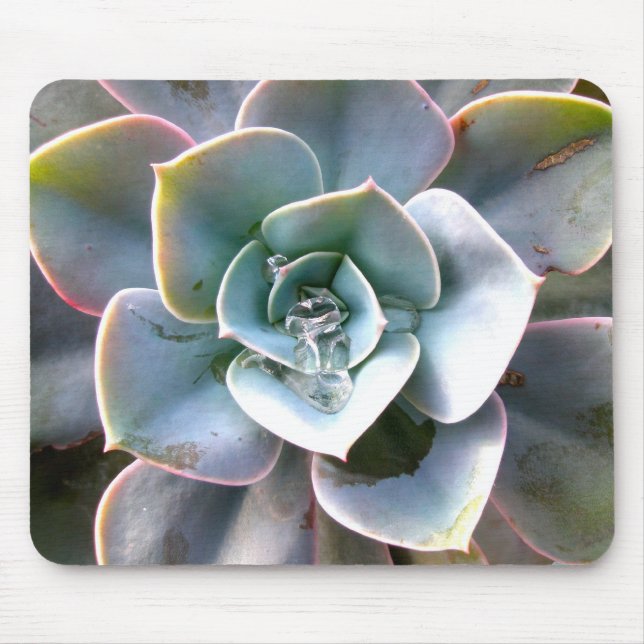 Colourful Succulents Mousepad #3 (Front)