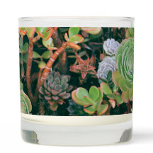 Colourful Succulents Scented Candle