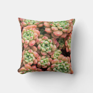 Colourful succulents Throw Pillow