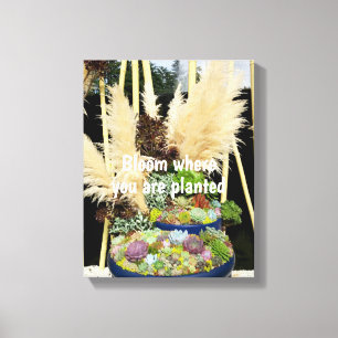 Colourful Succulents with Silver Grass Canvas Print