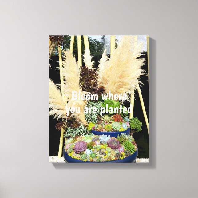 Colourful Succulents with Silver Grass Canvas Print (Front)