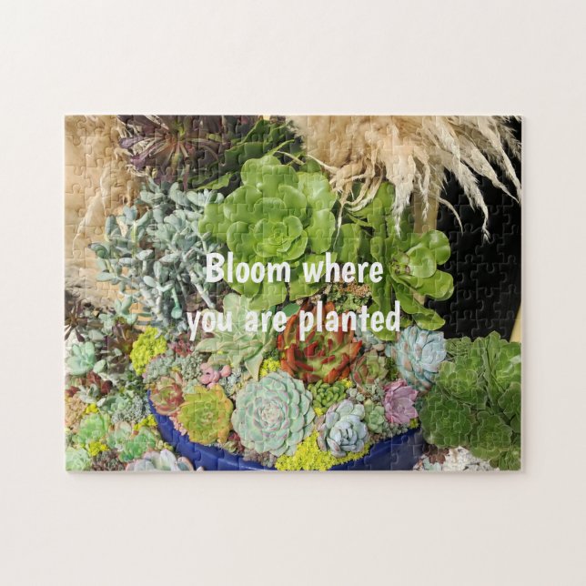Colourful Succulents with Silver Grass Jigsaw Puzzle (Horizontal)