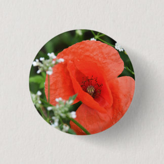 Colourful summer field poppy flower in green veget 1 inch round button
