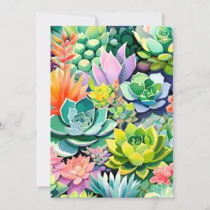 Colourful Summer Succulent Botanical Garden Announcement