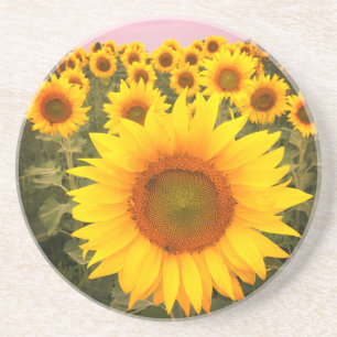 Colourful Sunflower Blooms Coaster