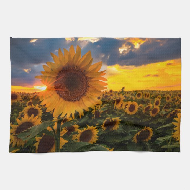Colourful Sunflowers in a Field Kitchen Towel (Horizontal)