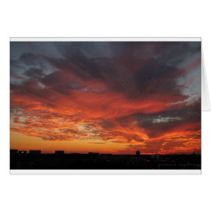Colourful Sunset