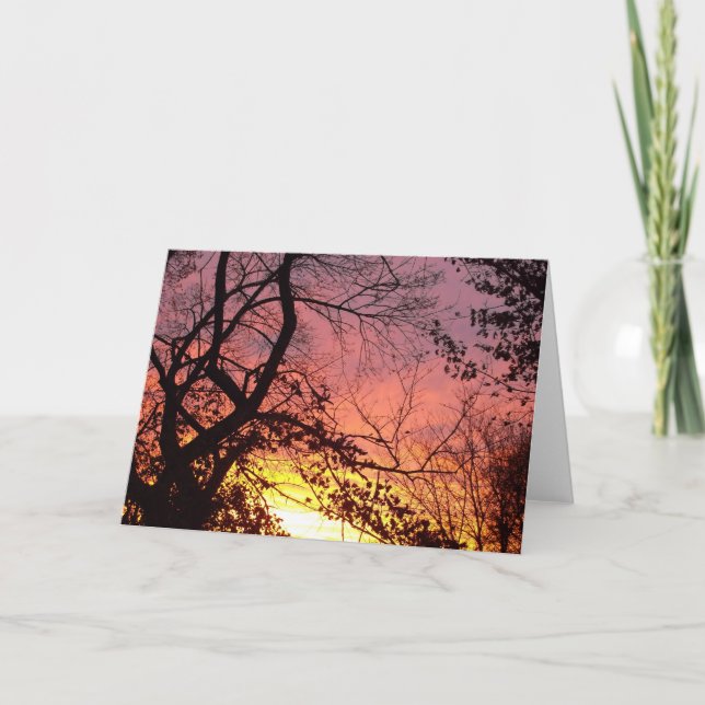 Colourful Sunset Through Bare Trees Card (Front)