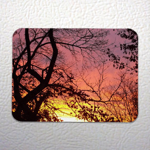 Colourful Sunset Through Bare Trees Magnet