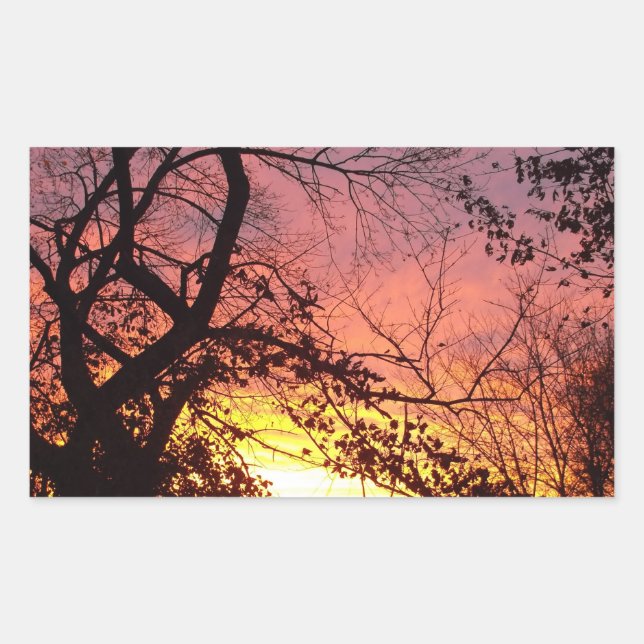Colourful Sunset Through Bare Trees Sticker (Front)