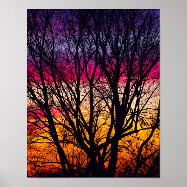 Colourful Sunset with a silhouetted tree, Ohio Poster (Front)