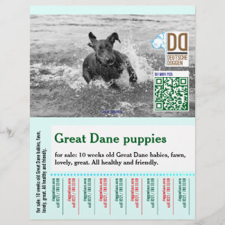 Colourful tear off dog flyer
