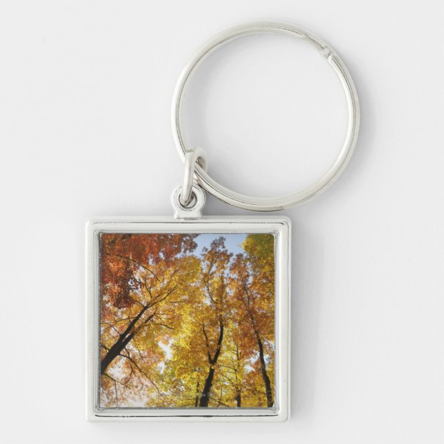 Colourful Trees Keychain (Front)