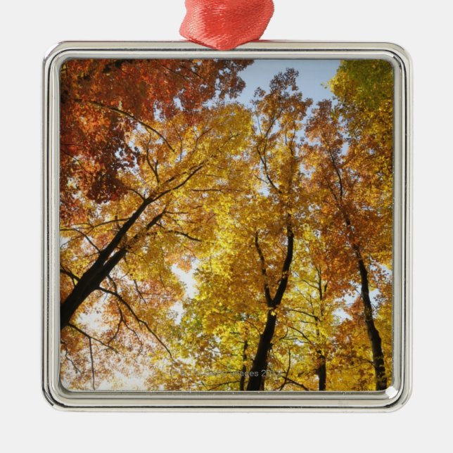 Colourful Trees Metal Ornament (Front)