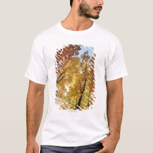 Colourful Trees T-Shirt