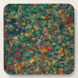 Colourful Treetops Coaster