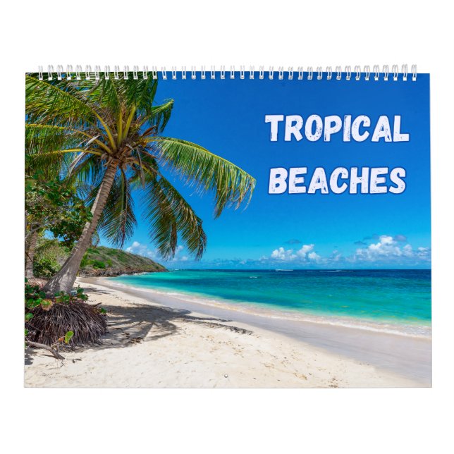 Colourful Tropical Beaches  Calendar (Cover)