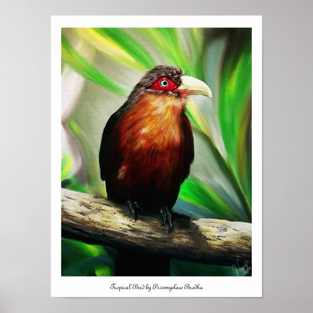 Colourful tropical Bird painting poster (Front)