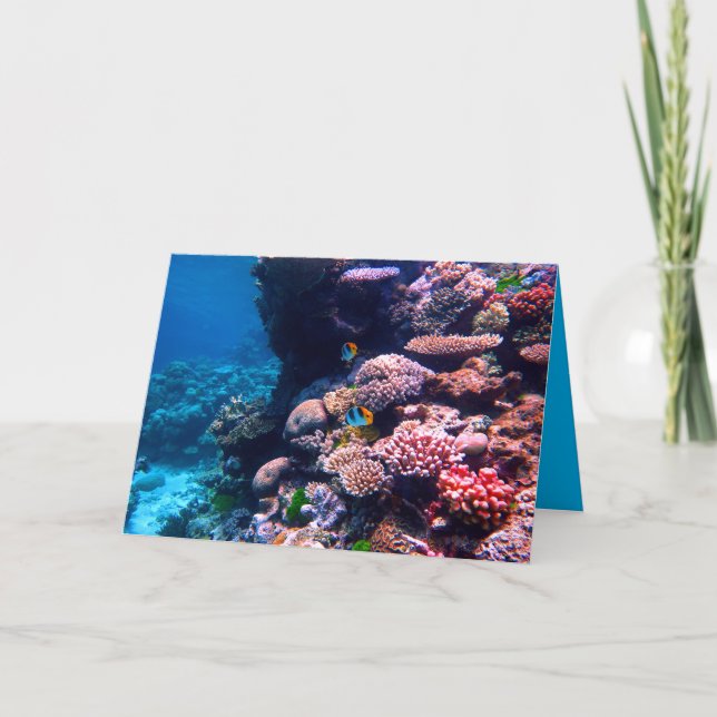 Colourful Tropical Coral Reef Card (Front)