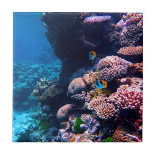 Colourful Tropical Coral Reef Tile