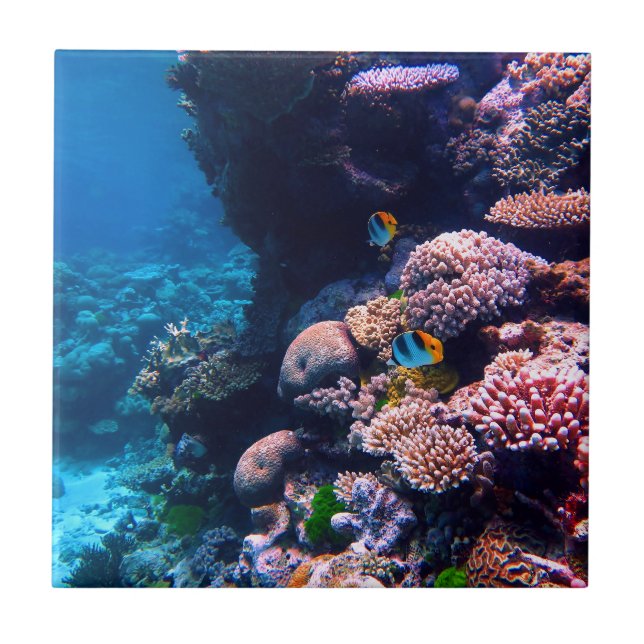 Colourful Tropical Coral Reef Tile (Front)