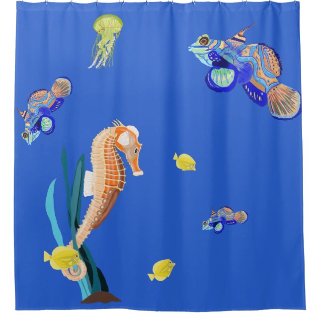 Colourful tropical fish and Seahorse (Front)
