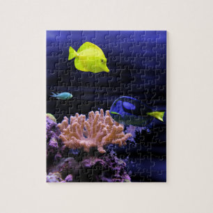 Colourful Tropical Fish Jigsaw Puzzle