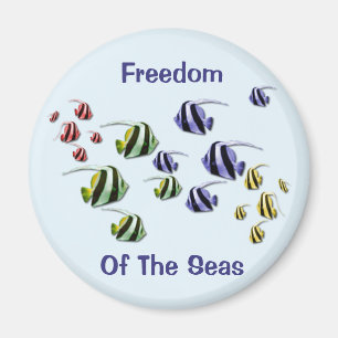 Colourful Tropical Fish Swimming Free Magnet