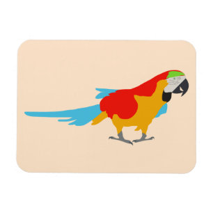 Colourful Tropical Macaw Magnet