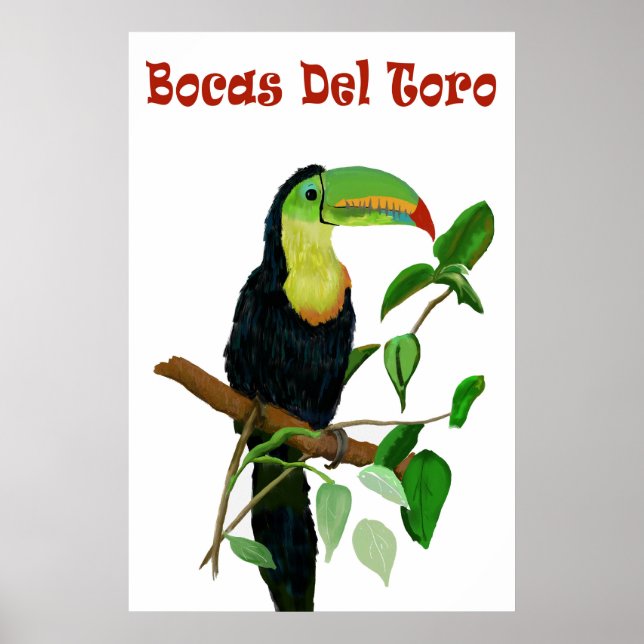 Colourful & Tropical Panamas Toucan Poster. Poster (Front)
