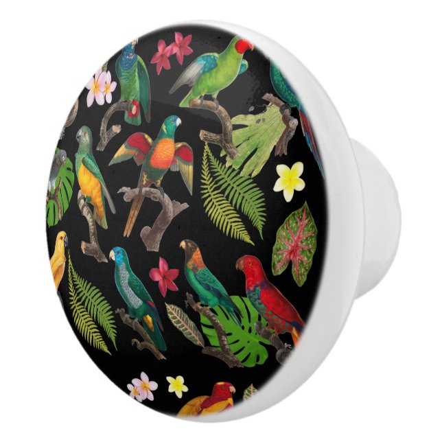 Colourful Tropical Parrots, Leaves & Flowers  Ceramic Knob (Right)