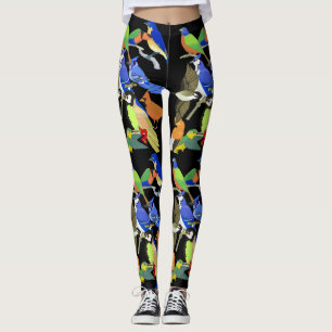 Colourful tropical wild birds leggings