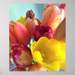 Colourful Tulip Bouquet Poster
