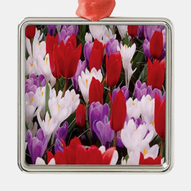 Colourful Tulip Flowers Ornament (Front)