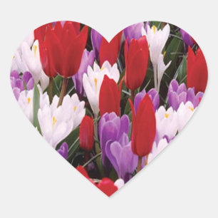 Colourful Tulip Flowers Stickers