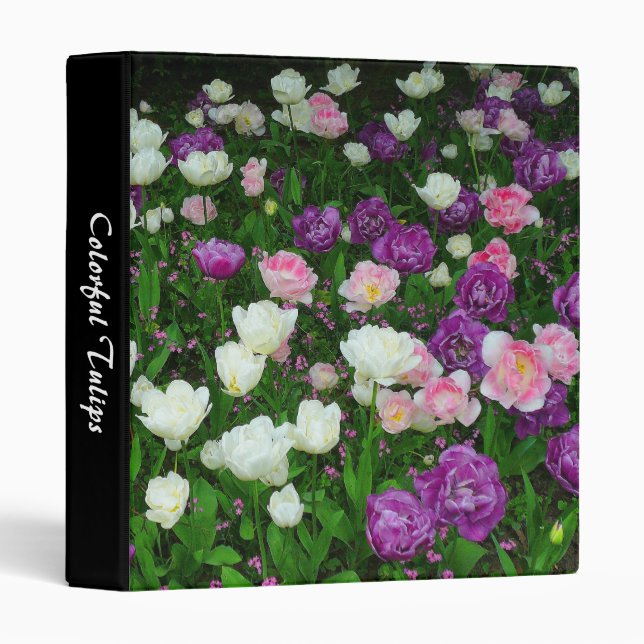 Colourful Tulips (1.0in) Binder (Front/Spine)