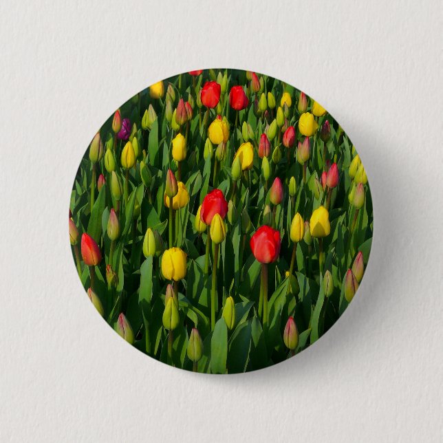 Colourful Tulips 2 Inch Round Button (Front)