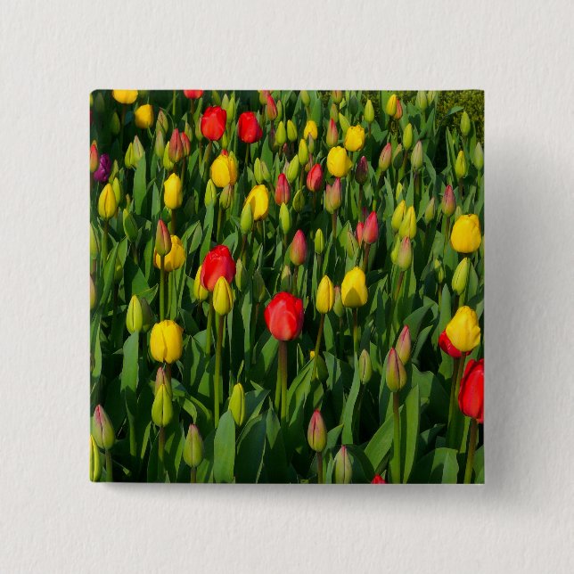 Colourful Tulips 2 Inch Square Button (Front)