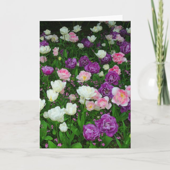 Colourful Tulips Card (Front)