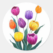 Colourful Tulips