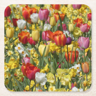 Colourful Tulips & Daffodils Flowers Paper Coaster